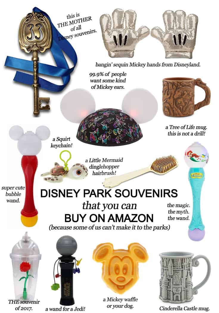 Disney Park Souvenirs that you can buy on Amazon (because some of us can’t make it to the Parks)