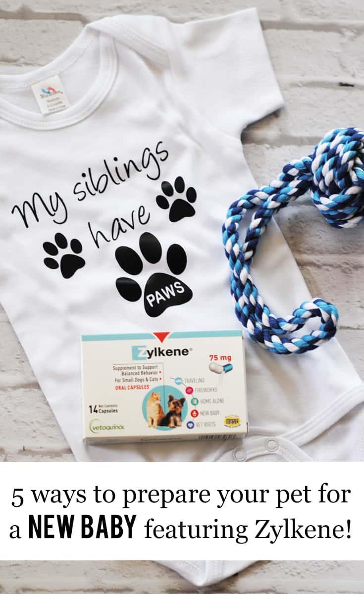 5 Ways to Prepare Your Pet For a New Baby featuring Zylkene #ad #ZylkeneDifference #MyHappyPets