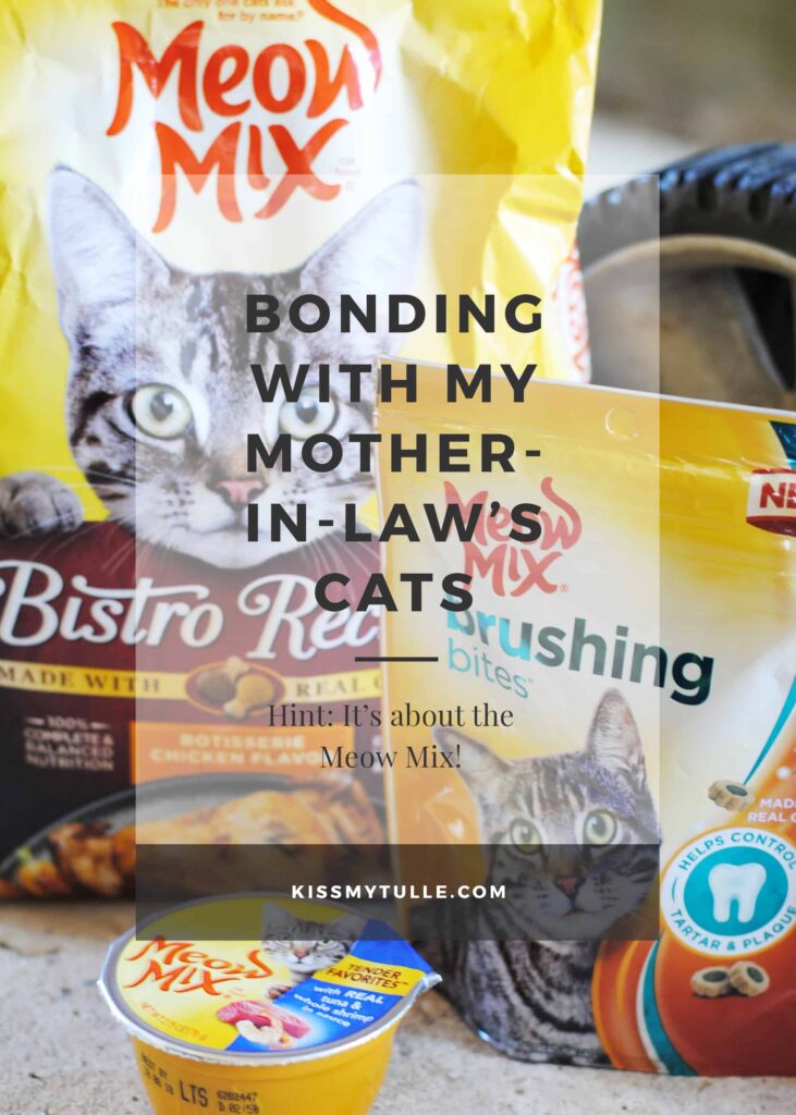 Bonding with My Mother-In-Law's Cats Over Meow Mix #ad