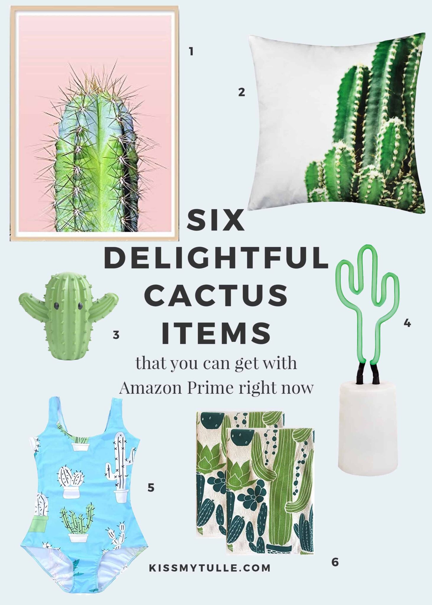 Six Delightful Cactus Items That You Can Get with Amazon Prime Right